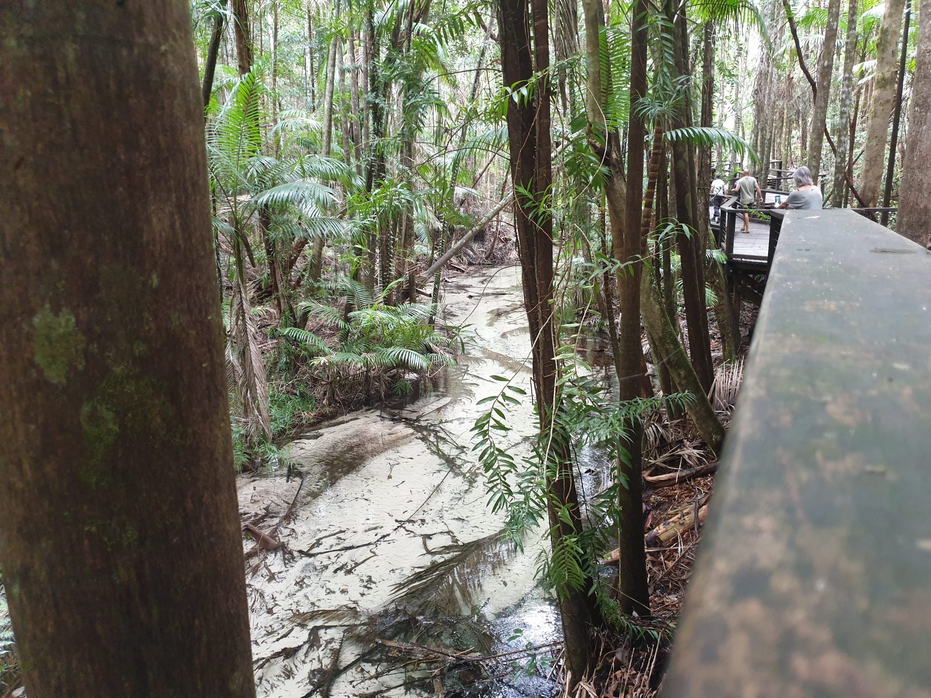 K'gari Tours from Noosa